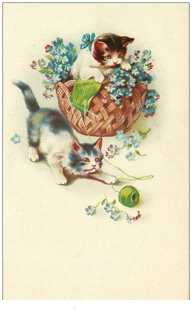 Cats No. 23155 Cats Playing With A Ball