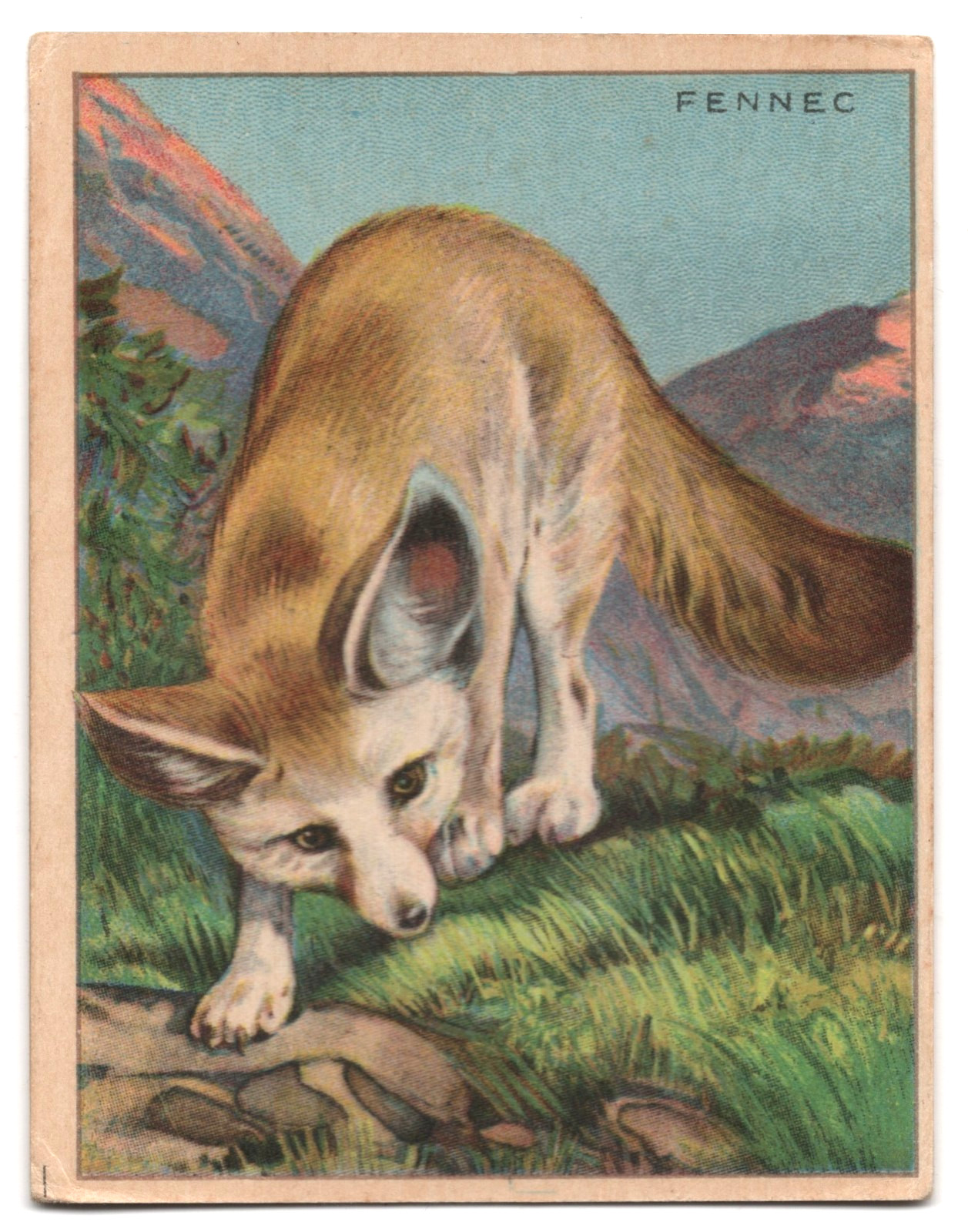 1925 Fennec Trading Card FC1 Harry Horne Jelly Like T29 Hassan Tobacco