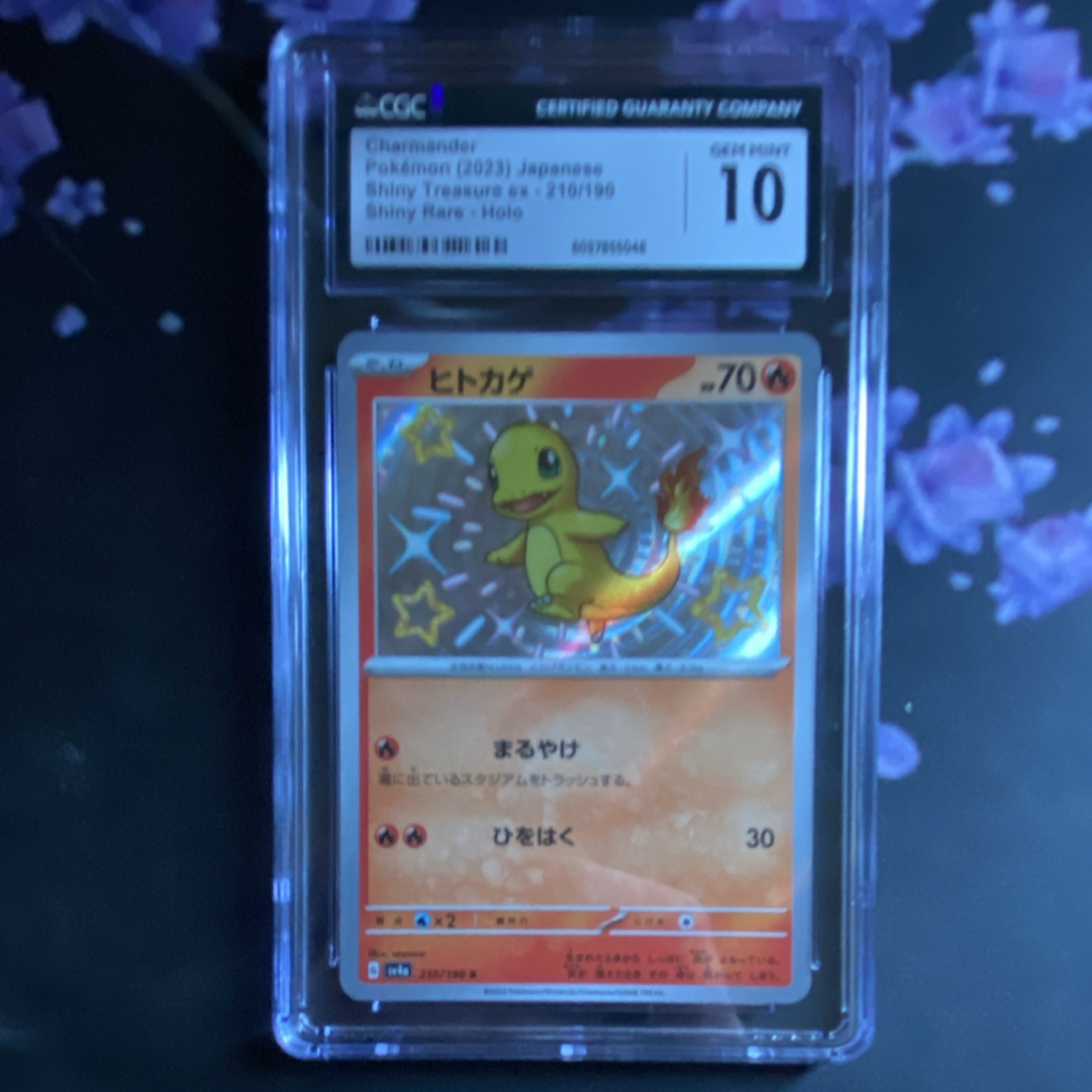 Pokémon Charmander 210/190 Shiny Treasure Ex Shiny Rare Holo CGC 10 Japanese