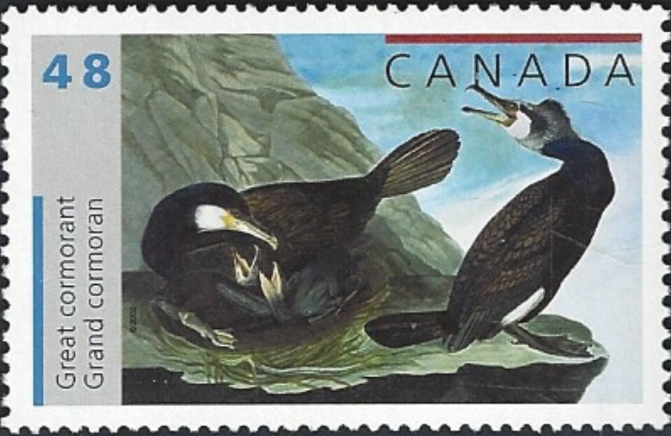 🍁Canada   #1981    "Great Cormorant"   Brand New  2003  Nice Original Gum