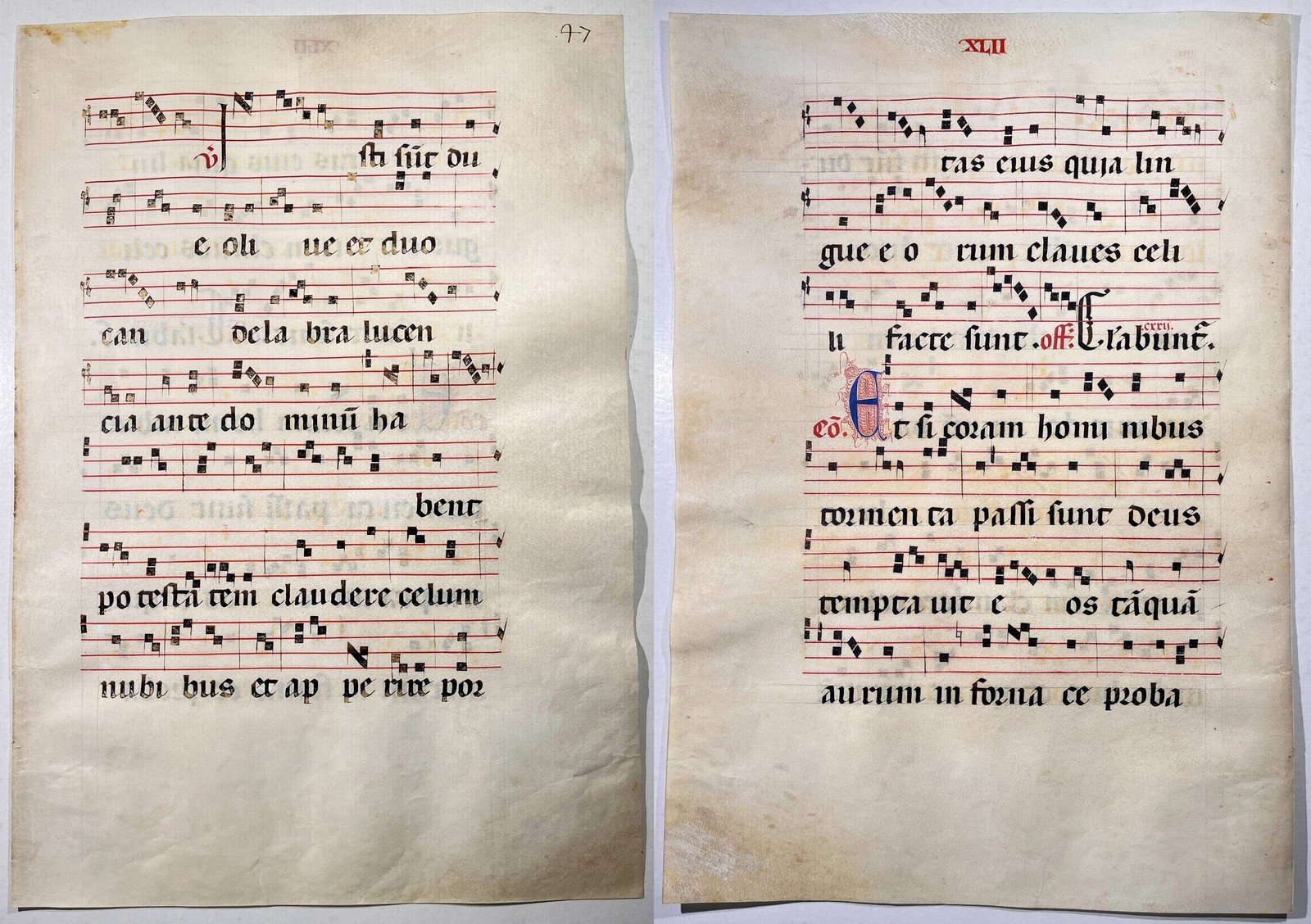 Antiphonary Vellum Manuscript 15th Century A75