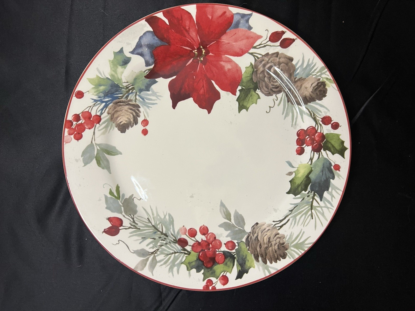 Pier 1 Berry Poinsettia Christmas Dinner Plates 11” Stoneware Lot of 2 – 2016