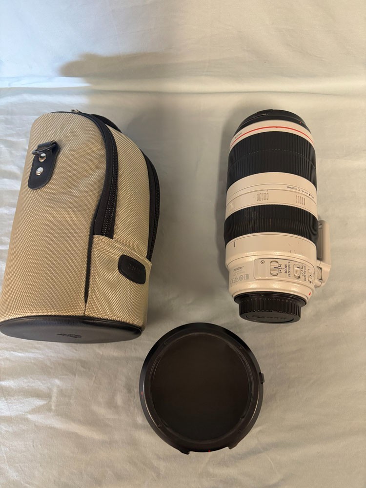 Canon  EF 100-400mm f/4.5-5.6L IS II USM Lens - White
