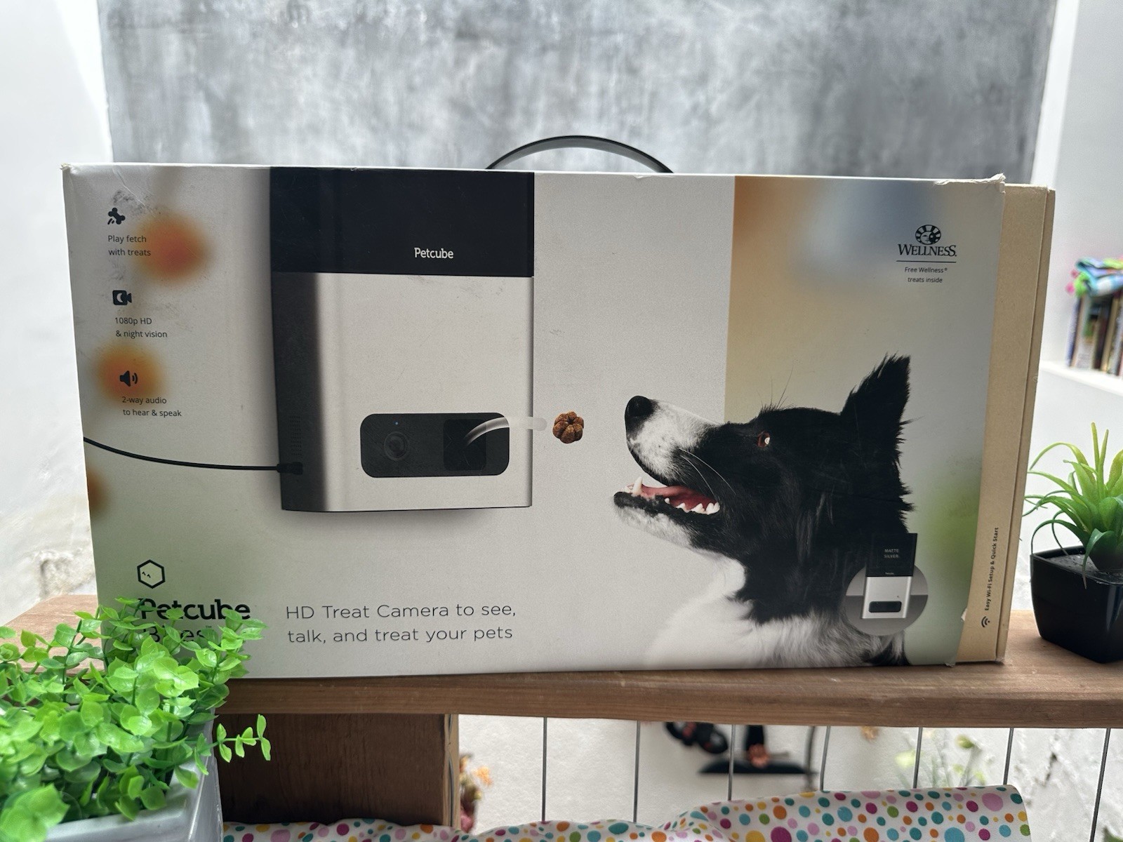 Petcube Bites Wi Fi Pet Camera & Treat Dispenser Used monitor, interact, reward