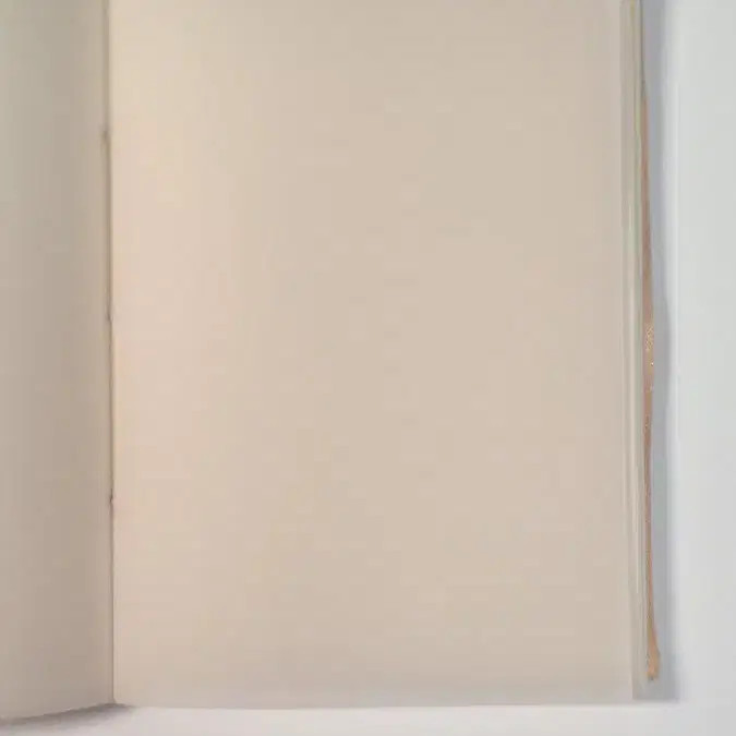 Peach Flower Handmade Diary Cover 2 pcs Unique Notebook