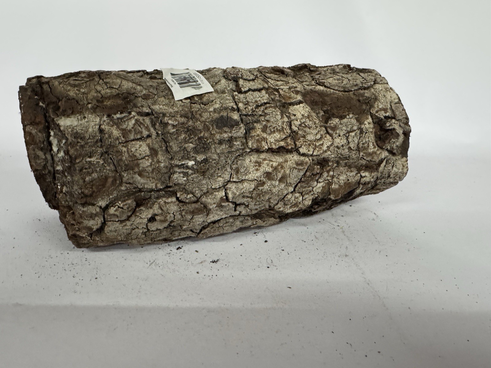 Large Natural Cork Bark Tube Reptile Hide Terrarium Gecko Snake Habitat 10-11 #3