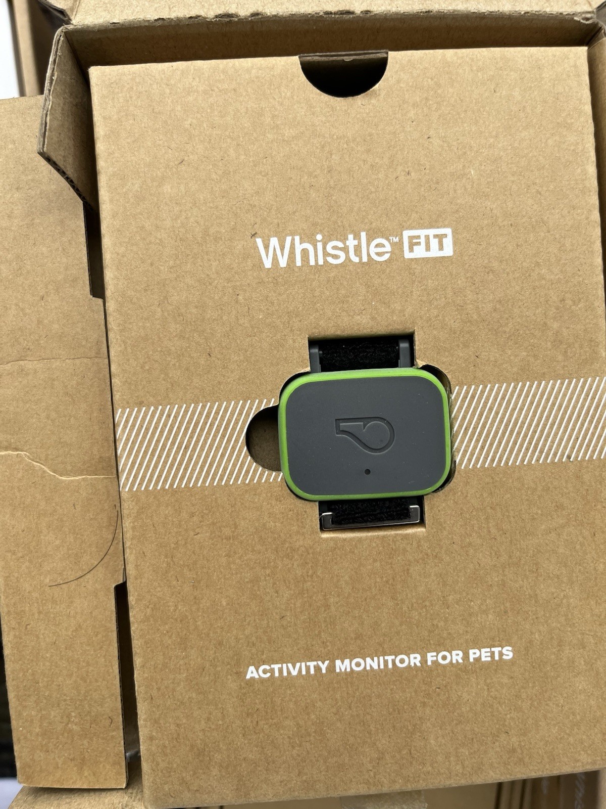 Whistle Go Explore Waterproof GPS Pet Ultimate Health and Location Tracke New