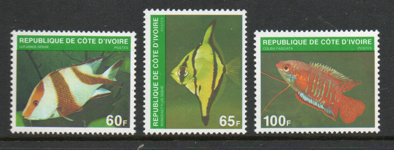 Fish -Ivory Coast 1980 set fine fresh MNH