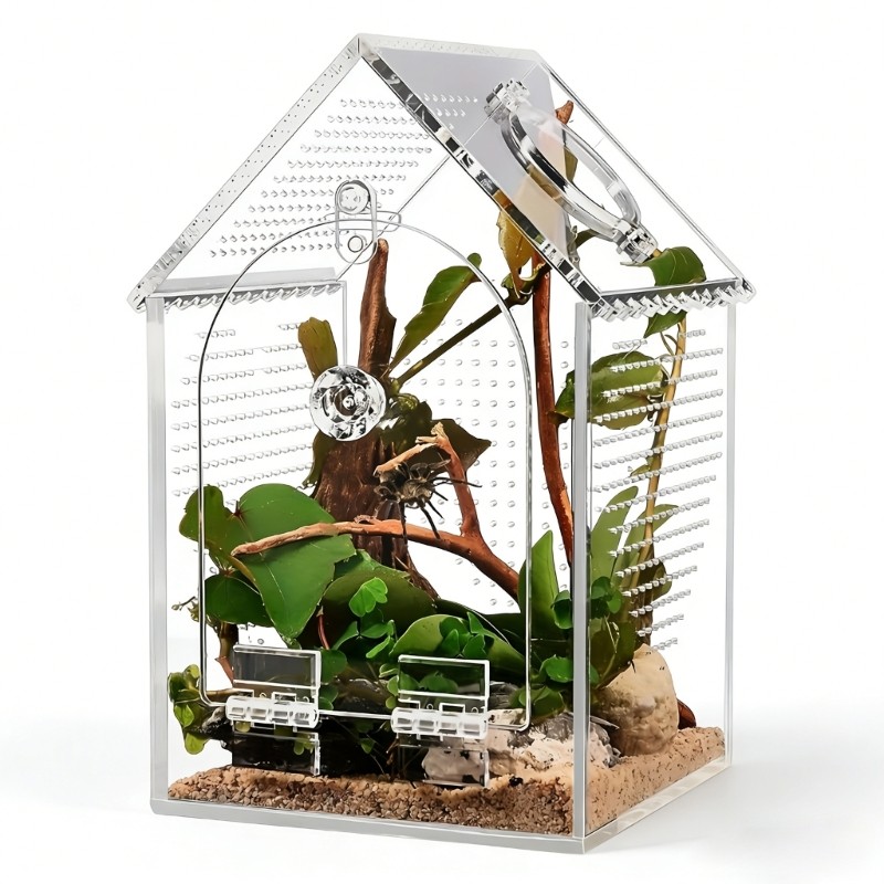 Shatterproof Acrylic Reptiles Terrarium For Plant And Amphibians Observation