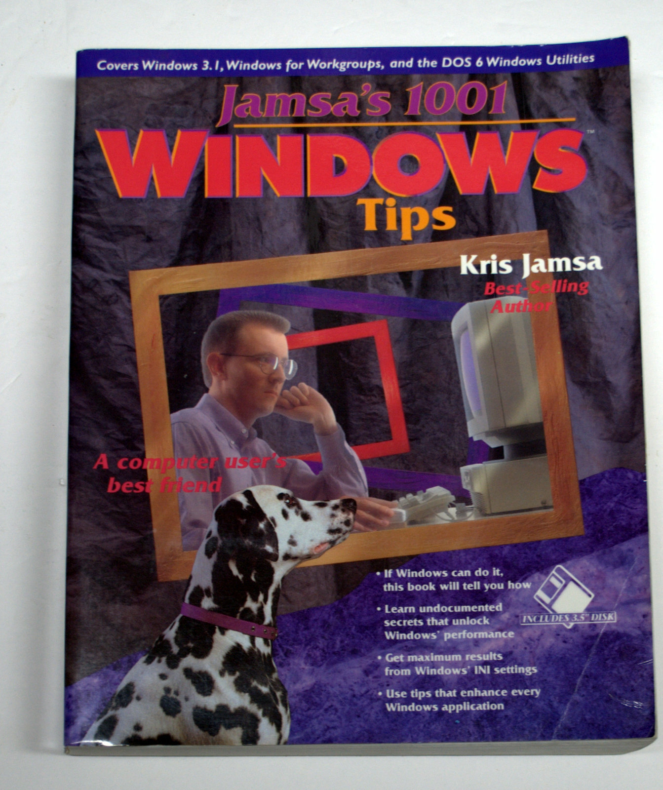 JAMSAs 1001 Windows Tips (Windows 3.1 DOS 6 Win for Work Grps)