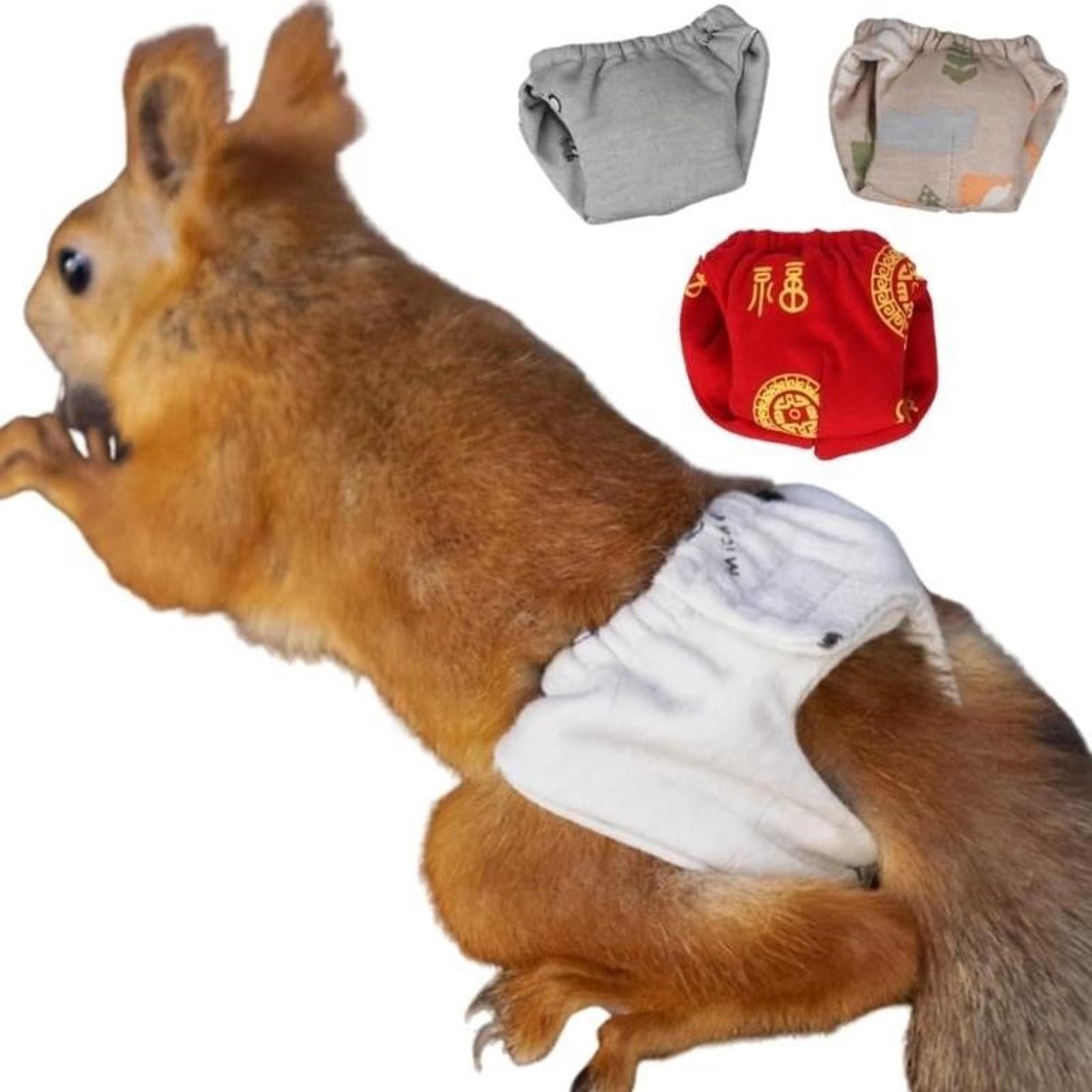 Diapers for Squirrels and Small Animals / 3 Pack / Wildlife Rehab and Rescue