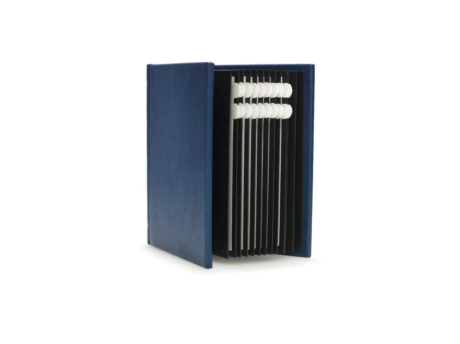 Superior Mount 8 x 10, 10 Page Photo Album (Holds 20 prints) - Blue