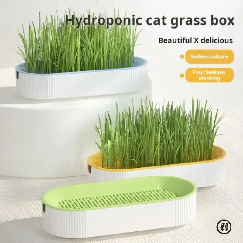 Cat Grass Planting Box Growing Plant Box Hydroponic Soil-Free Cat Snacks