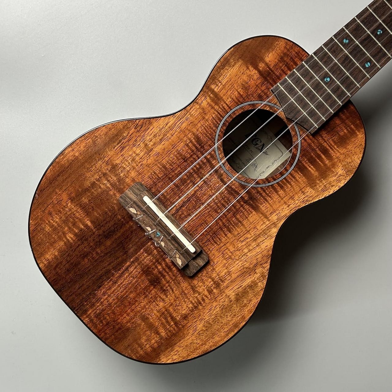 Fujigen Fgn Used Fsu-Tc Actual Image Safe delivery from Japan