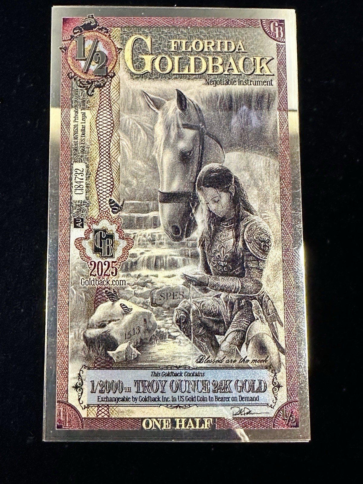 Lot of 5 Florida 1/2 Goldbacks 2025 Aurum Goldback Notes