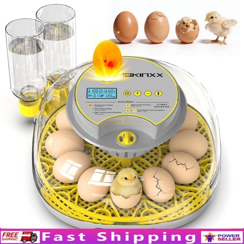 Automatic Egg Incubator W/ Temperature Control 360° View & Humidity System New