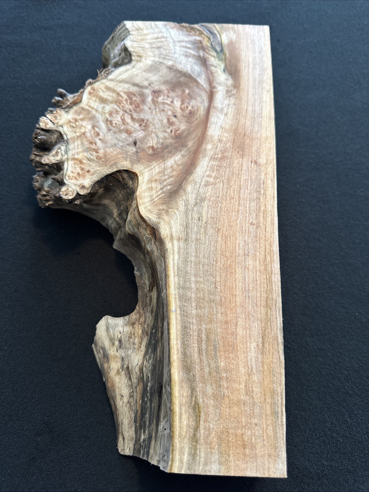 Maple Burl, Live Edge, 11 1/2” Long, 3 1/2” To 6” Wide, 1 3/4” Thick, Dry