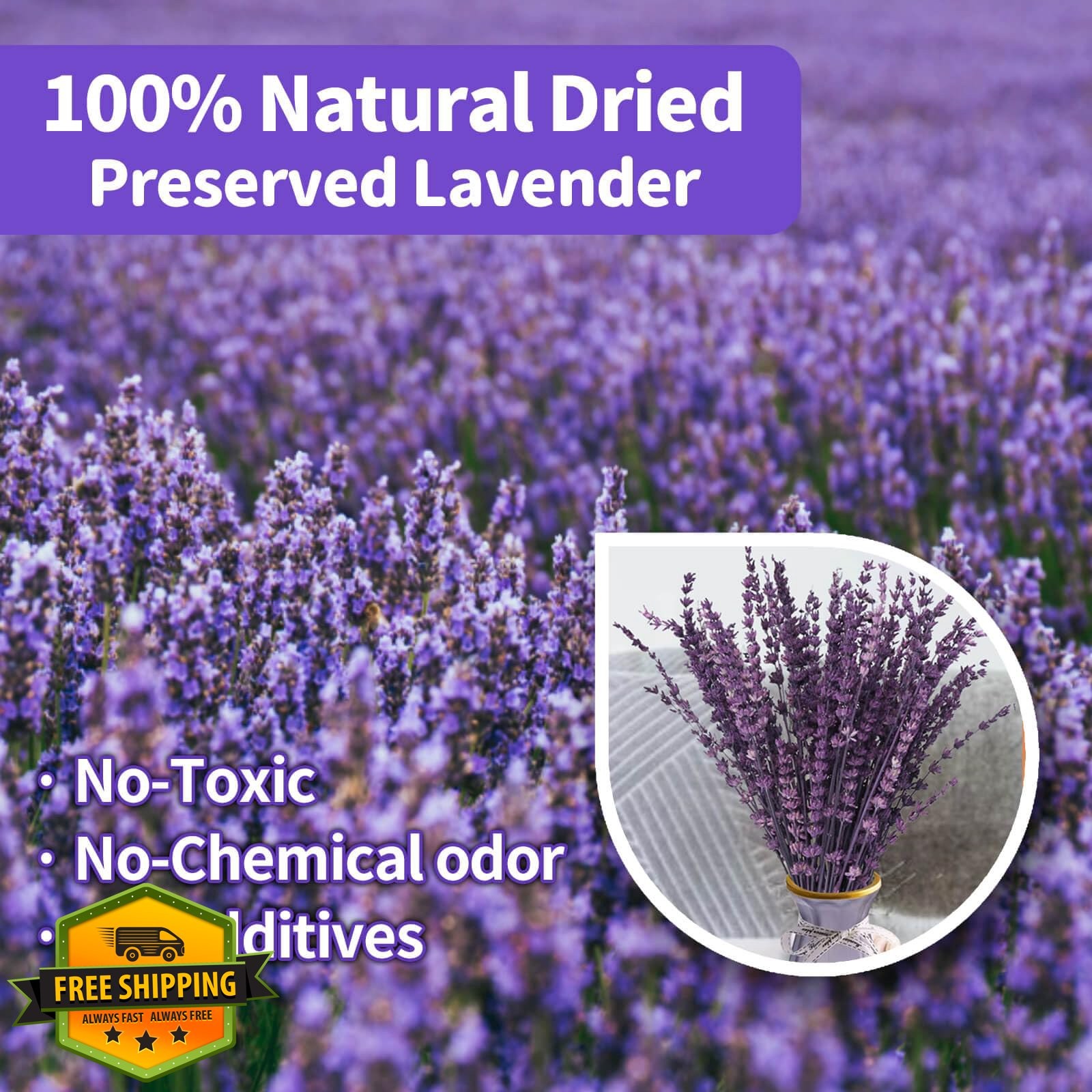 Dried Purple Lavender Flowers Bouquet 15-17" Fragrant Vase Decor Crafts 50g