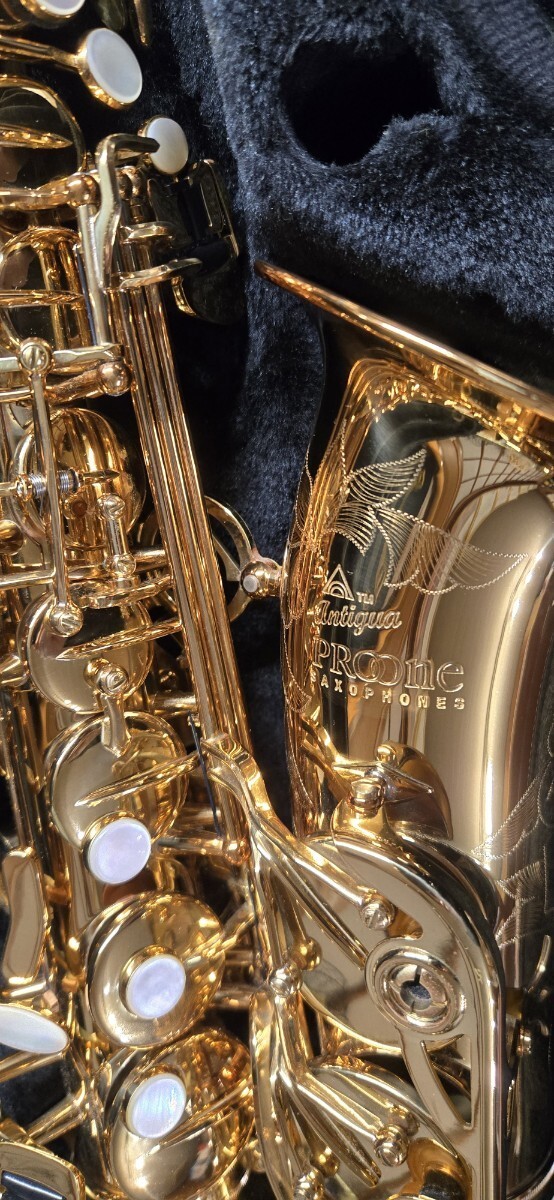 Antigua Pro One AS6200 Alto Saxophone