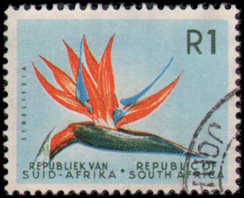 South Africa #266 Used