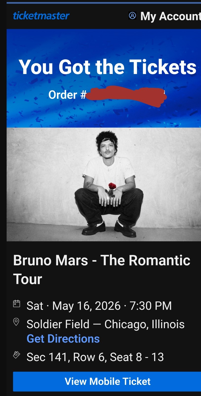 Bruno Mars The Romantic Tour Chicago Soldier Field 2026 | 2 tickets
