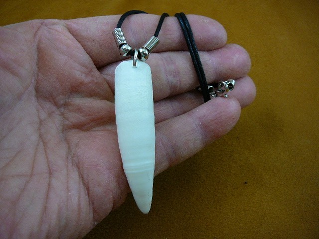 (G155-7m) 2-5/8" GATOR Aligator ALLIGATOR Tooth teeth 20" BLACK NECKLACE gators