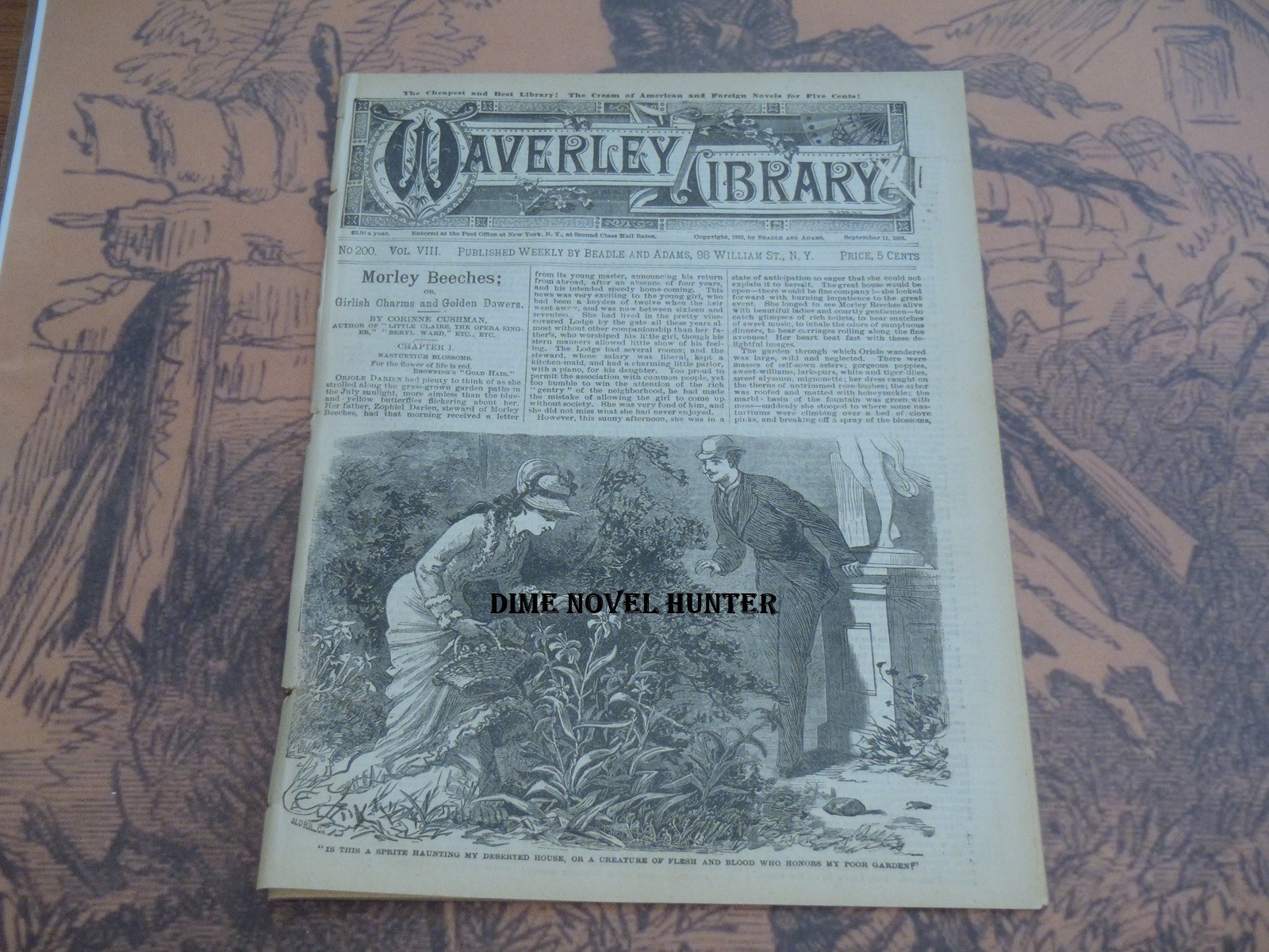 1883 BEADLE & ADAMS WAVERLEY LIBRARY #200 VRY SCARCE FINE DIME NOVEL STORY PAPER