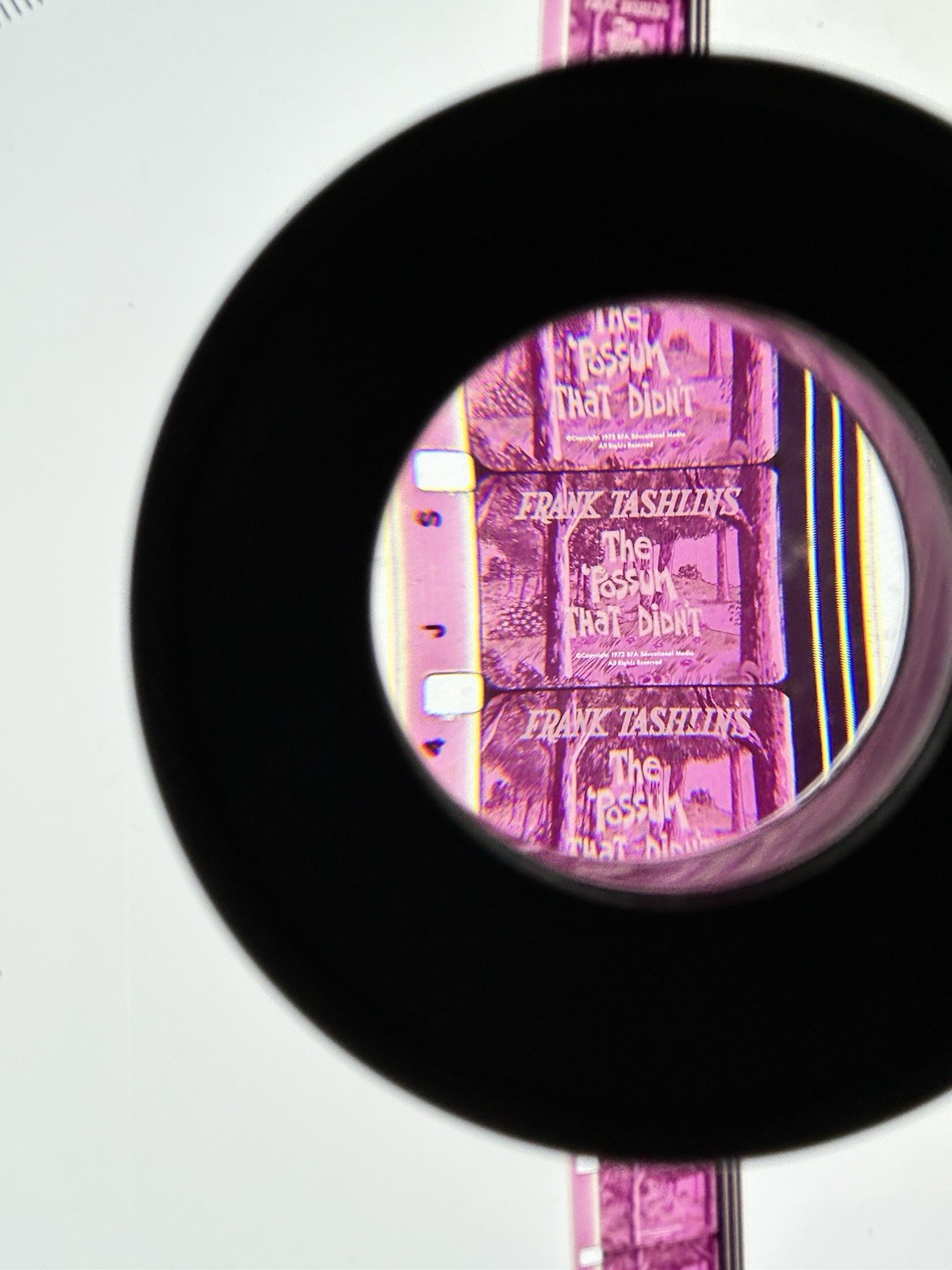 16mm Film Cartoon The Possum That Didn’t Frank Tashlin BFA Educational Reel Can