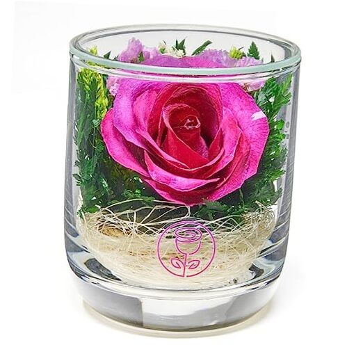  | Fresh Cut Preserved Roses in a Sealed Glass Vase | Long Single Dark Pink