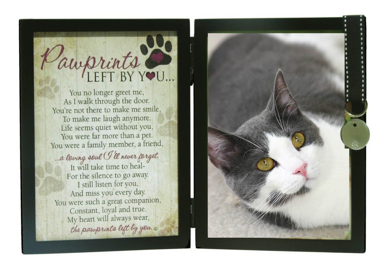 Pawprints Left By You Memorial 5x7 Frame for Cat with Pet Tag - Thoughtful Ca...