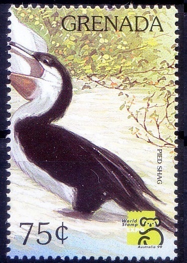 Grenada 1999 MNH, Pied Shag, Water Birds 