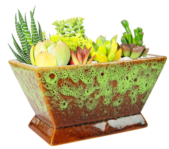 Ceramic Succulent Planter Pot - Small Decorative Cactus Flower Pot, 7x4x3.7 in