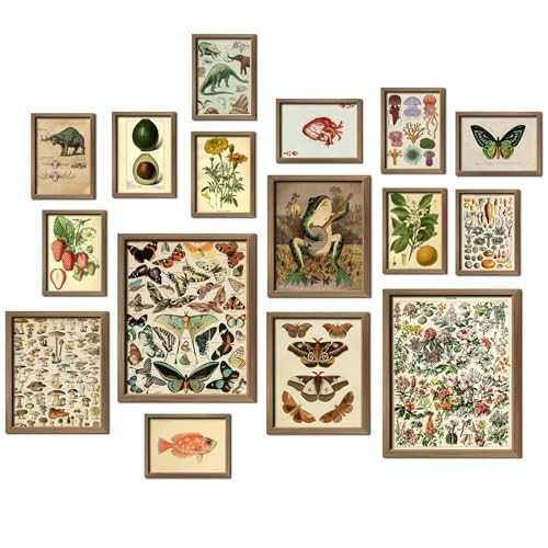 16 PCS Framed Vintage Wall Art Decor, Botanical Cottagecore 12"x15" Framed Drab