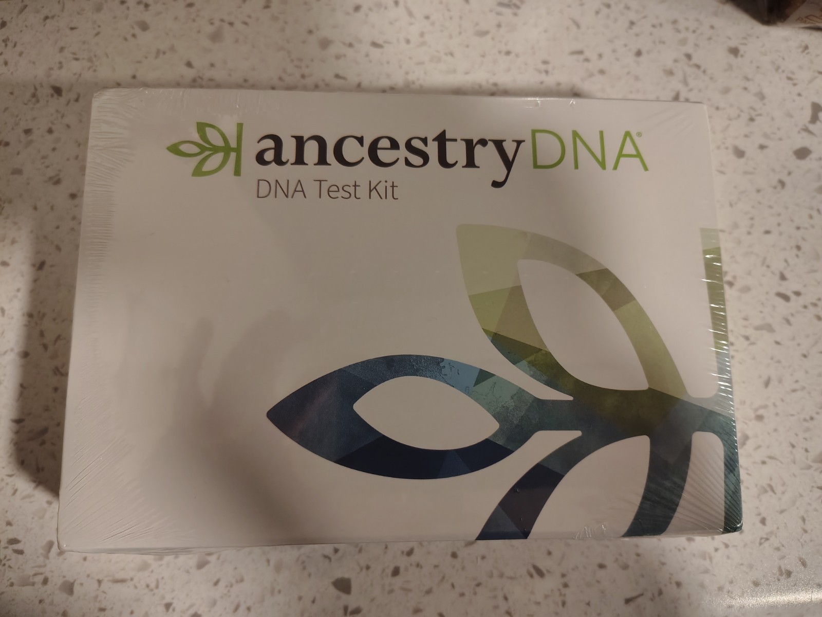 Ancestry DNA Kit 2024