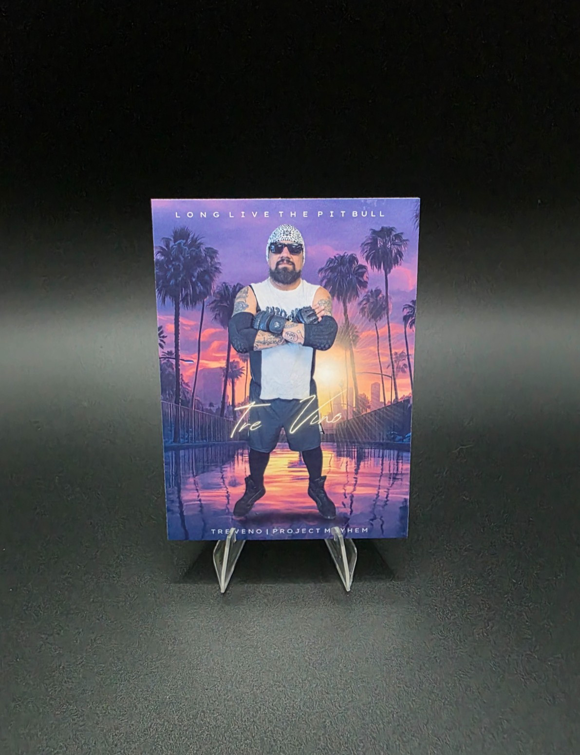 Tre Vino #17 (2026) eXcess Idaho Wrestle Club [Custom ACEO Art Card]