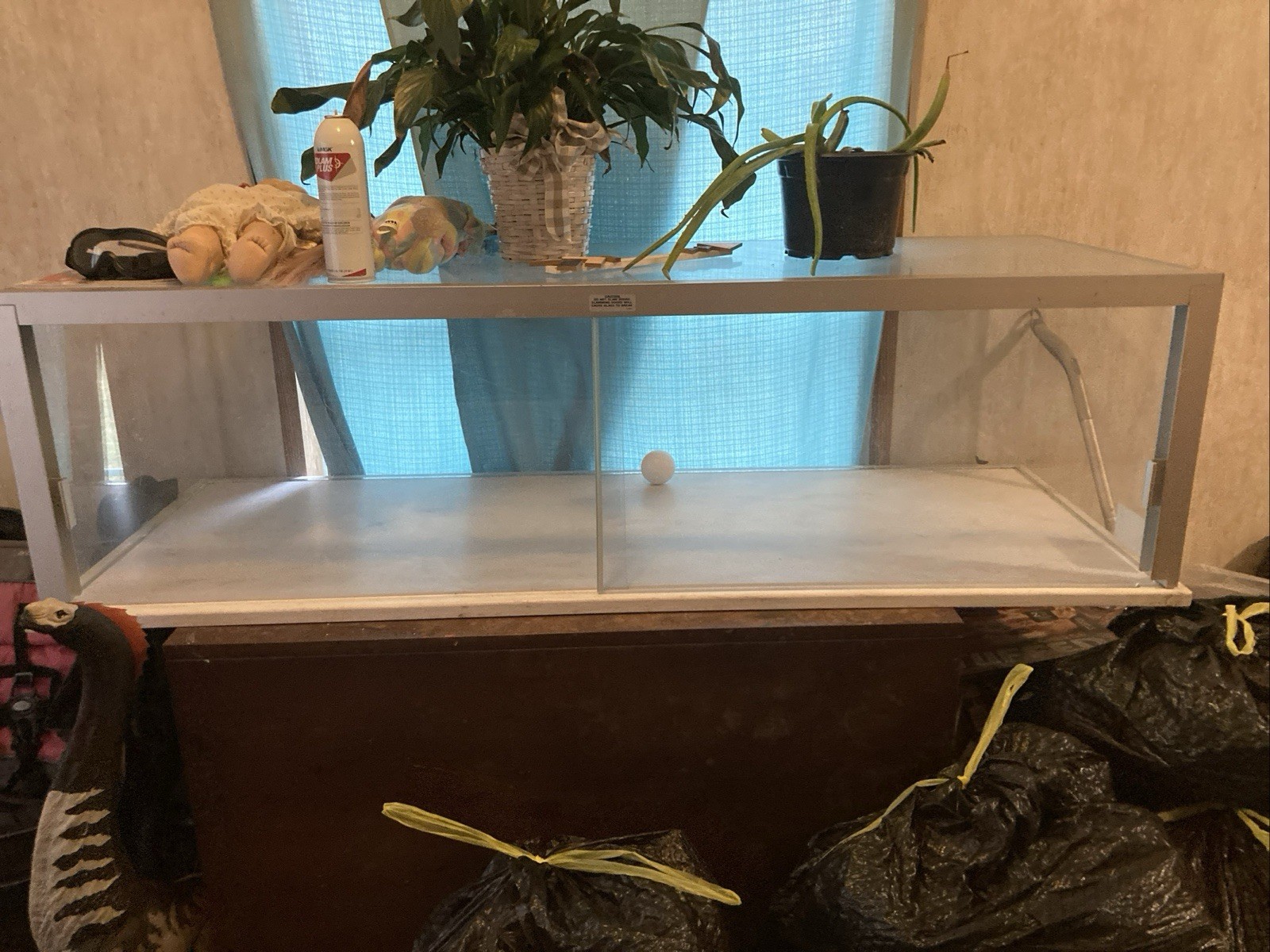 Carolina Custom Cages Glass Reptile Enclosure Terrarium with Sliding Doors