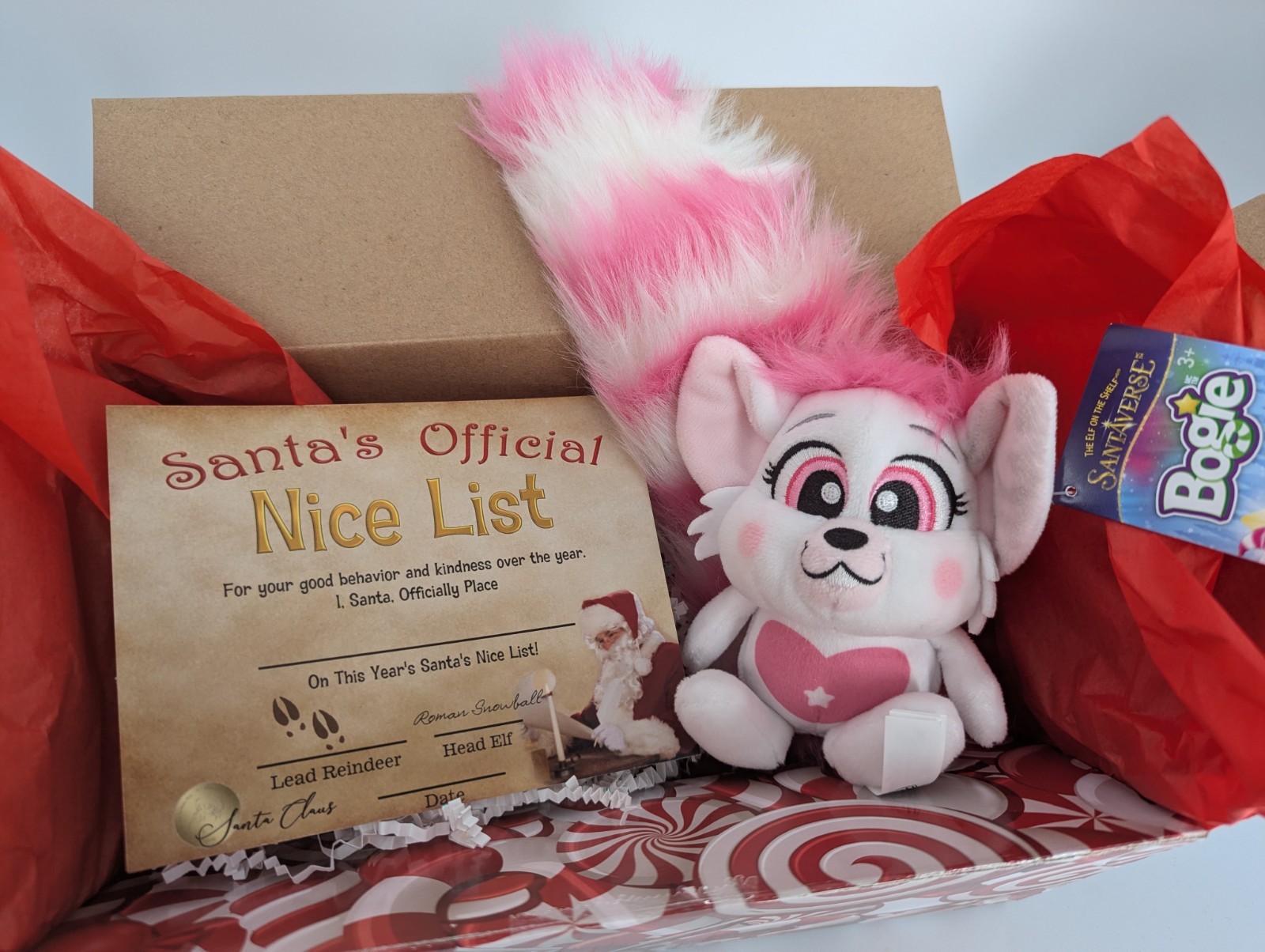 personalized Nice Certificate from Santa Clause & Christmas 🎄  Plush Gift