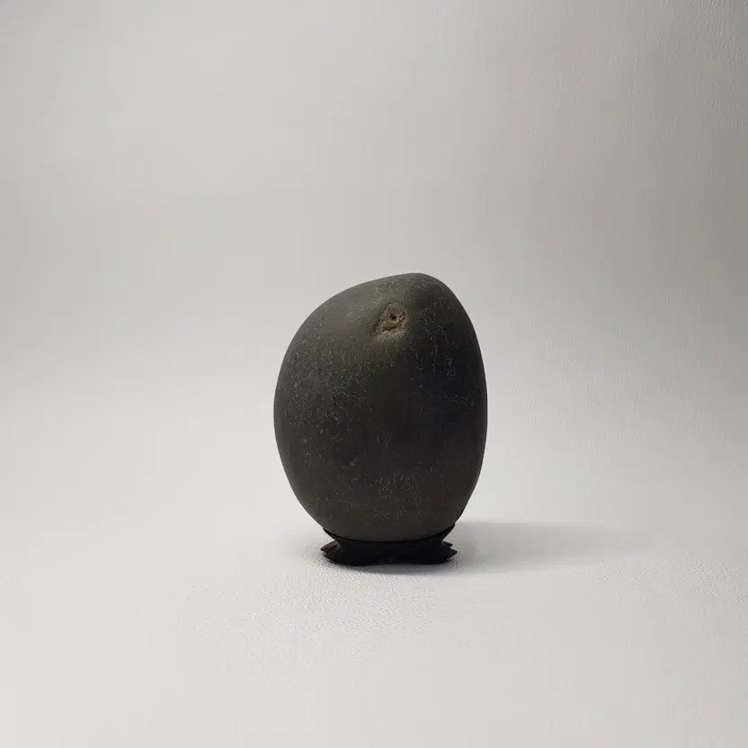 Small Black Natural Pattern Natural Stone Fossil