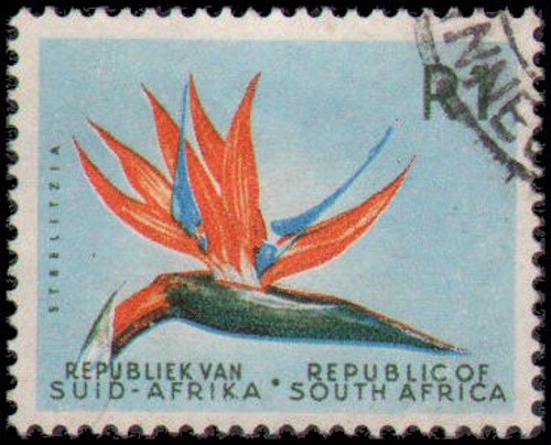 South Africa #266 Used