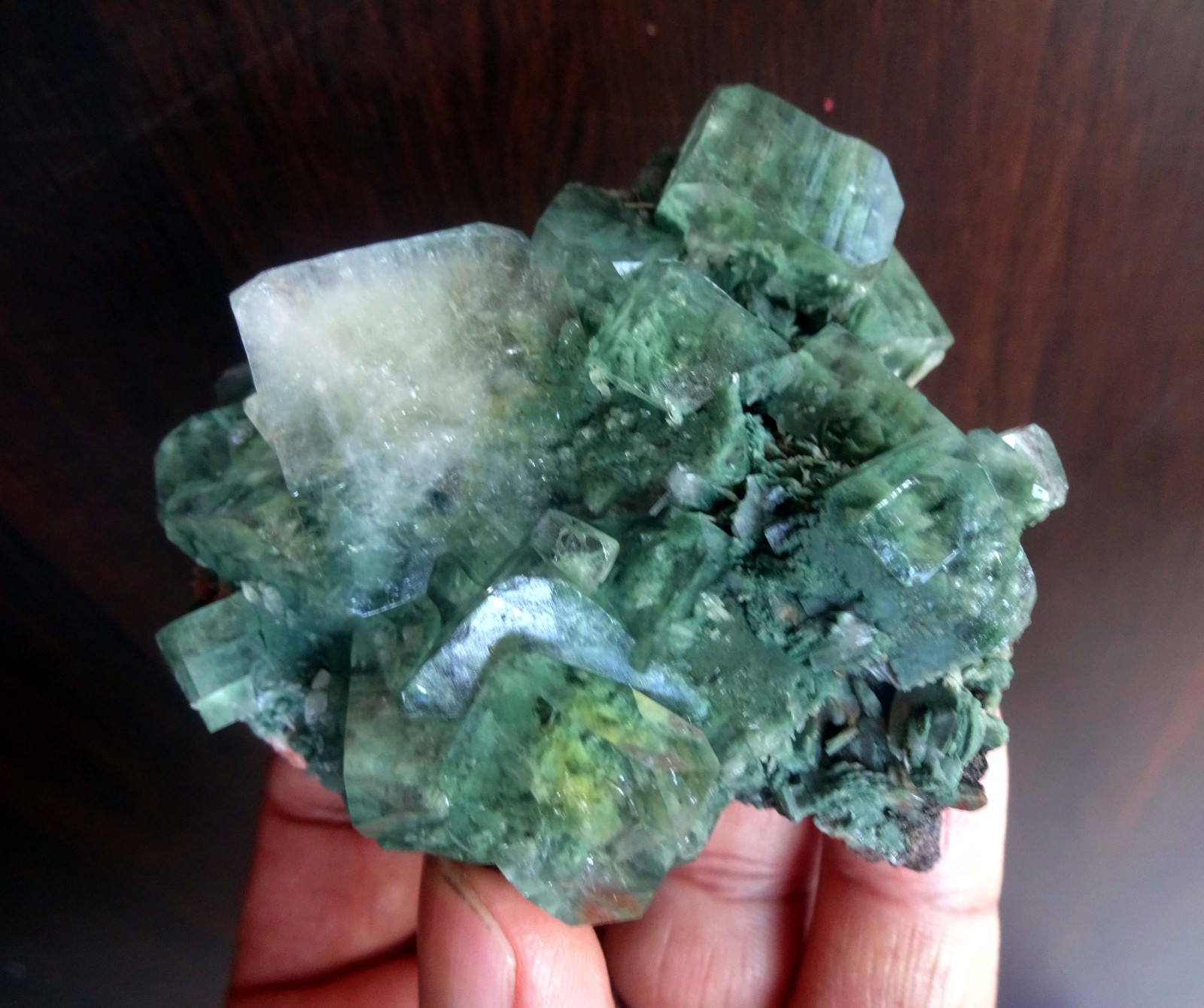 Marshy Green Apophyllite On Stilbite Matrix Minerals
