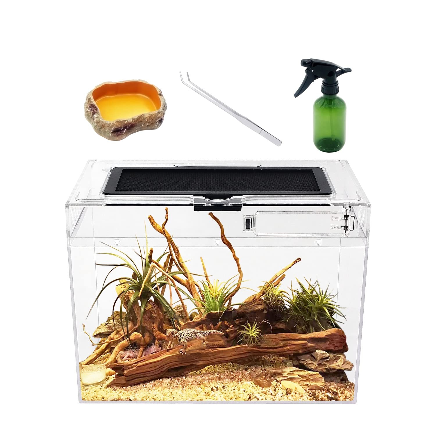 Mini Reptile Terrarium,12" x 7"x 9" Reptile Tank with Full View Visually Appe...