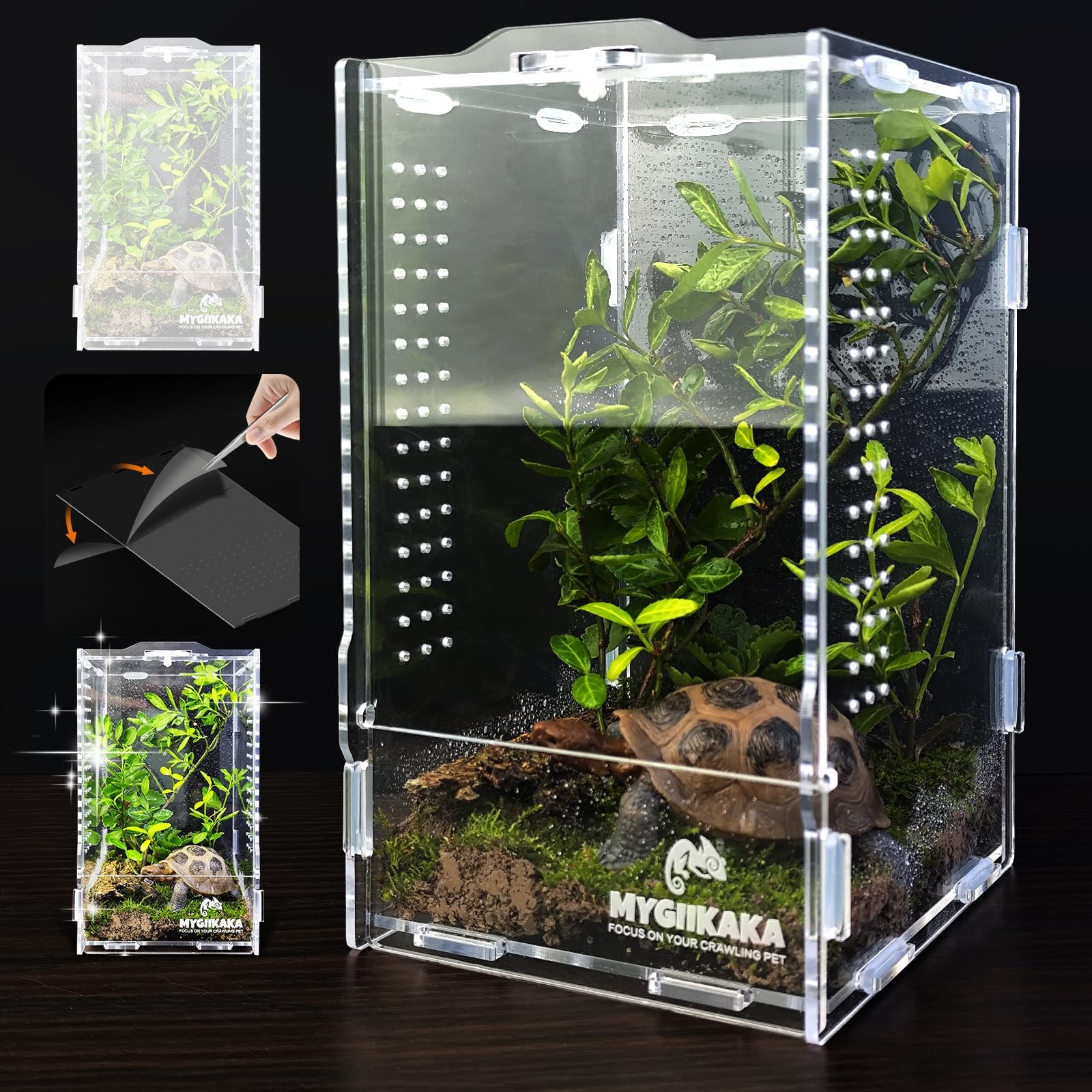 Acrylic Jumping Spider Habitat, Insect Terrarium, Bug Small, Transparent 