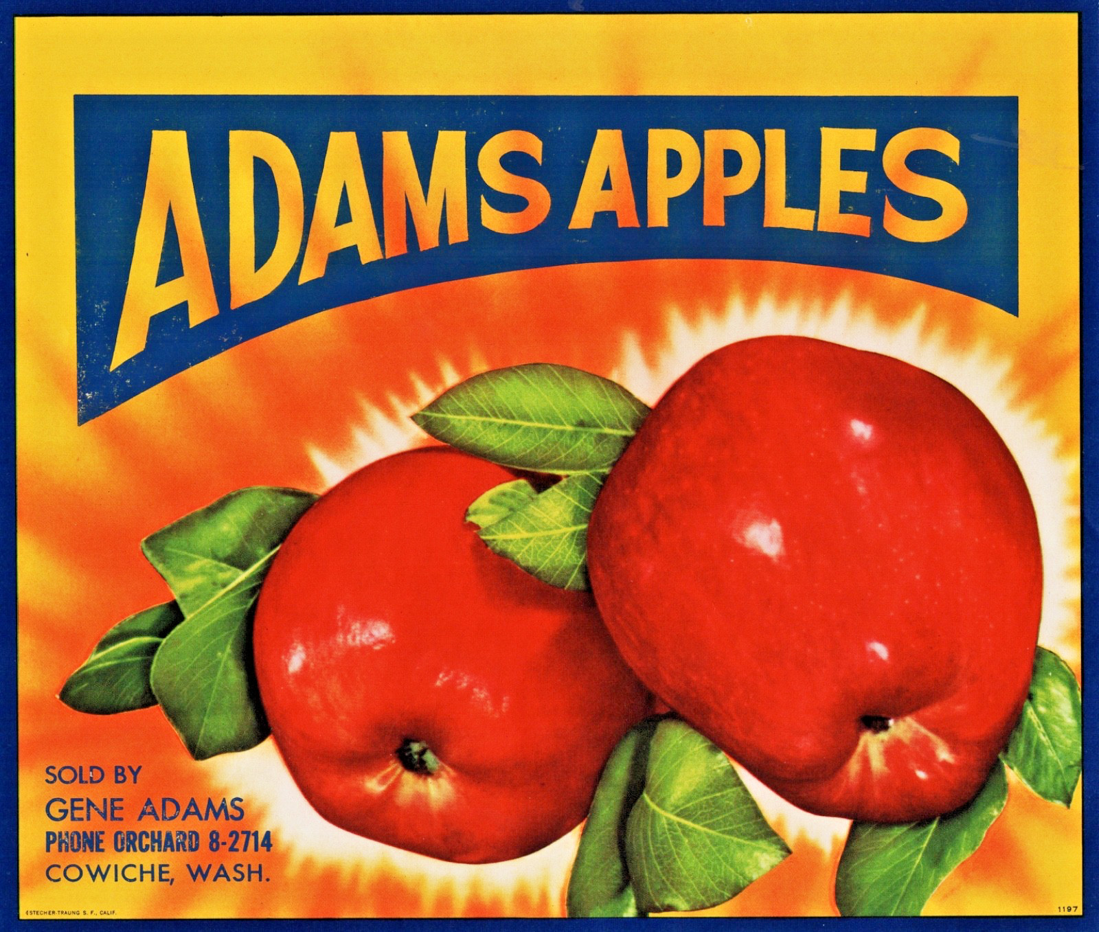 ADAMS APPLES Brand Original Fruit Crate Label - Cowiche, Washington