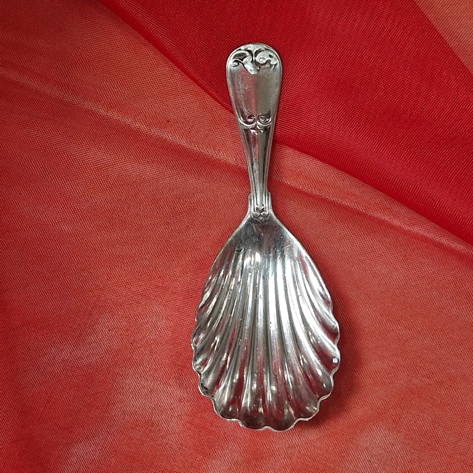 Vintage Caddy Spoon White Metal Shell Shape 8.5cm