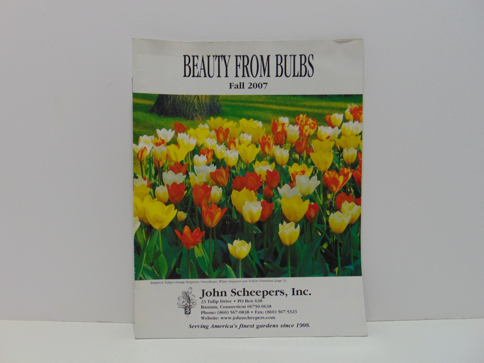 Beauty From Bulbs Fall 2007 John Scheepers, Inc Catalog