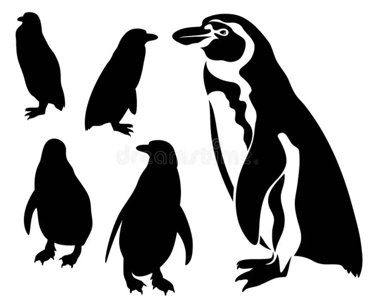 Black and white penguin Die Cut Vinyl Decal