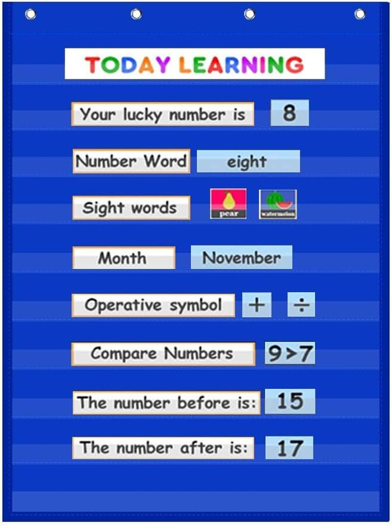 Standard Pocket Chart Clear 10 Pockets Chart for Classroom & Home Heavy Duty Han