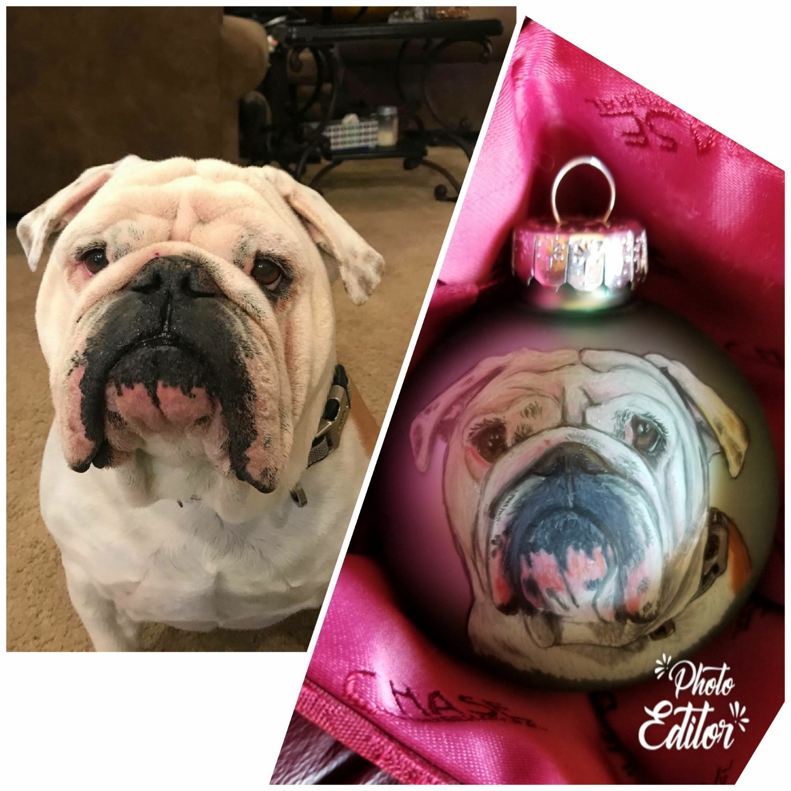 Custom Hand Drawn Pet Portrait Ornament 