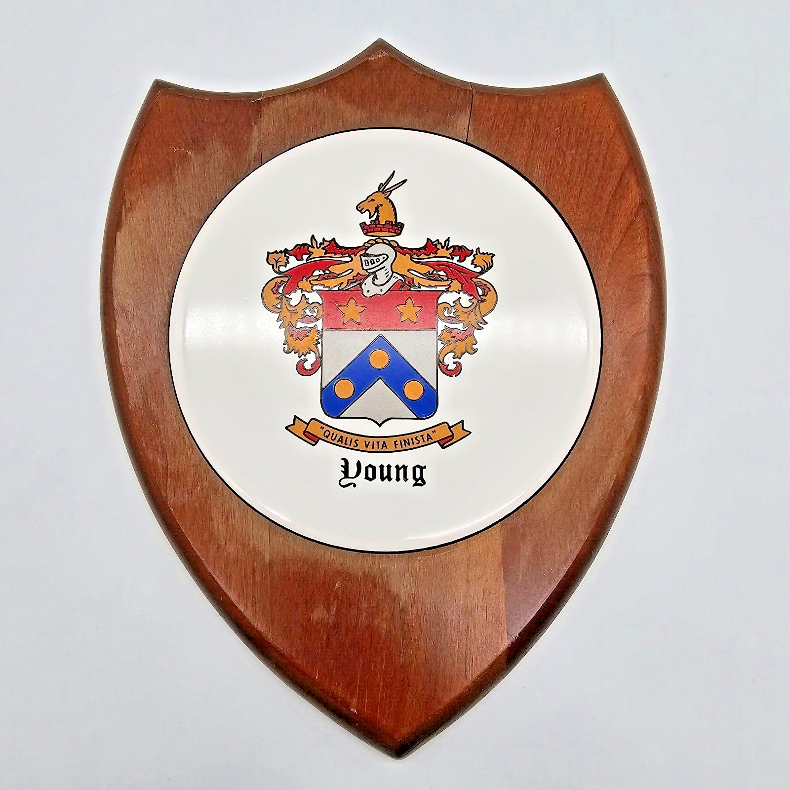 Vintage Wooden Shield Coat of Arms Young Family Crest Wall Plaque Heraldry Decor
