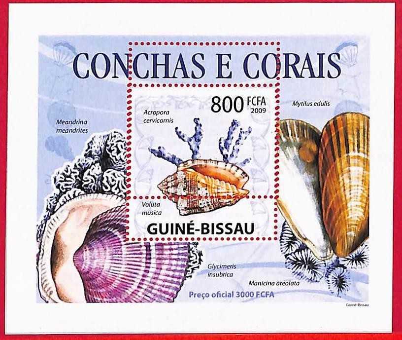 A5078 - GUINE-BISSAU - ERROR MISPERF Stamp Sheet - 2009 - Shells and Corals